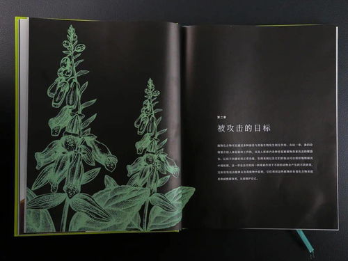 爱情魔剂 壮阳药 迷幻剂 女巫的药水为何都离不开它们