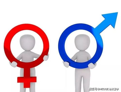 女性更易申请 男性收入更高,美研中的性别差异有哪些 有多大