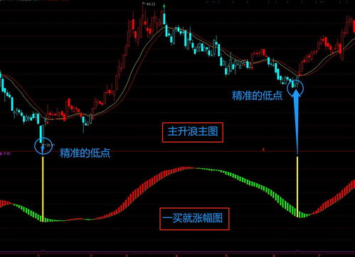 关注指标中的未来函数