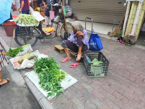 宾阳街头老人摆摊卖菜,你会因同情而买单吗