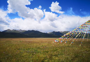 一个国家最美的风景 (一个国家最美的风景就是这个国家的年轻人作文)