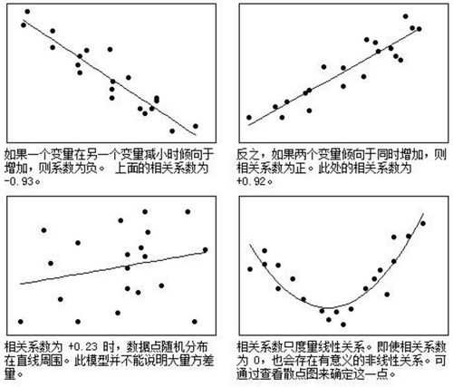 虚拟变量与连续变量如何进行相关分析