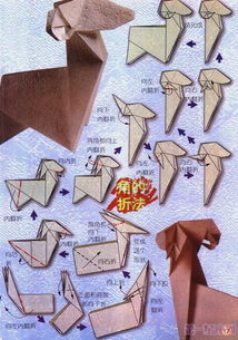 怎么折纸12星座(星座折纸大全十二