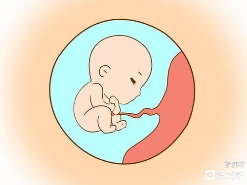 怀孕期间,同房和不同房的孕妈和胎宝,有什么不同,看完涨知识了