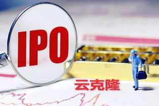 IPO申报材料