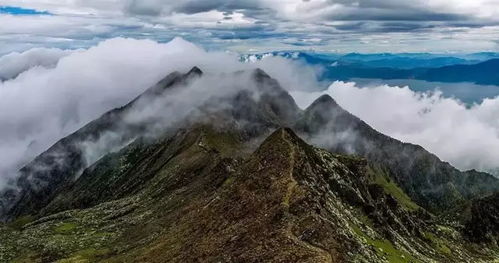 四月,云南最美的风景,原来都隐藏在这座山的深处 