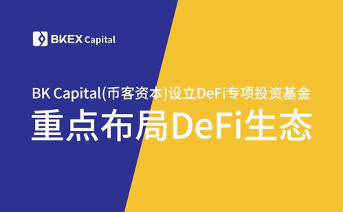 DeFi还有吗—defi是什么意思怎么投资