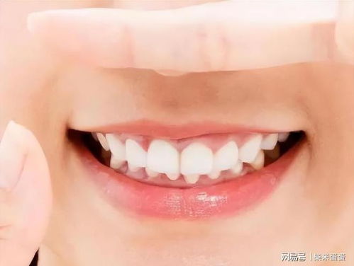 寿命长短,牙齿先知 60岁的人,牙齿剩多少颗正常 医生说出答案