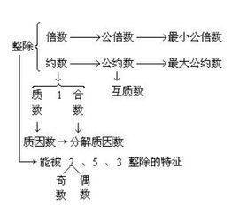 互质是什么意思 