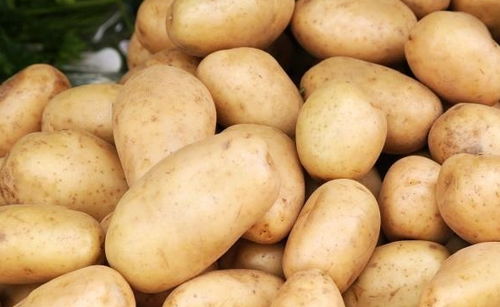 减肥期间能吃土豆吗,土豆减肥？