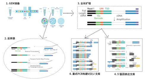 文献查重原理全解析：学术界的公正守护者