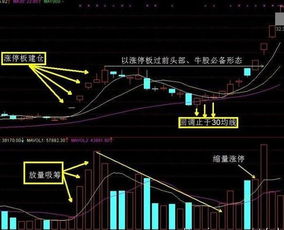 我妈炒股十年了，她想买一台多屏电脑，大家有什么推荐？