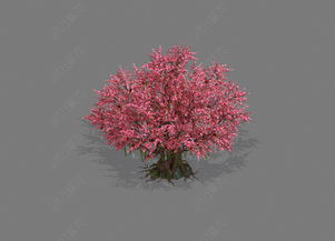 一棵粉红色大桃花树设计模型下载 