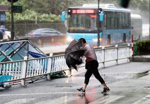 温比亚今晨登陆上海 杭州今天中到大雨多趟列车停运 