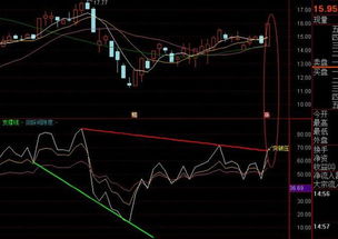 股票RSL指标那紫，黄， 白，三条线个代表了什么意思？怎么看？