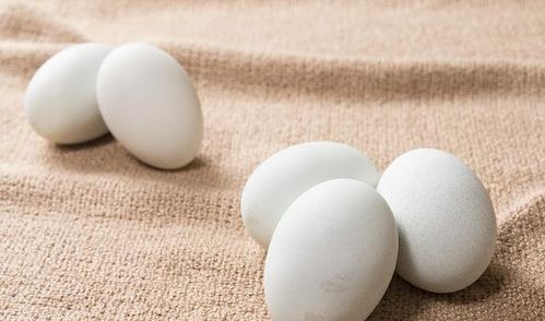女人吃鸭蛋有什么好处 什么病不适宜吃鸭蛋