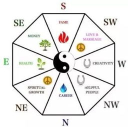 风水学在中国被当作封建迷信,外国人却拿它发家致富