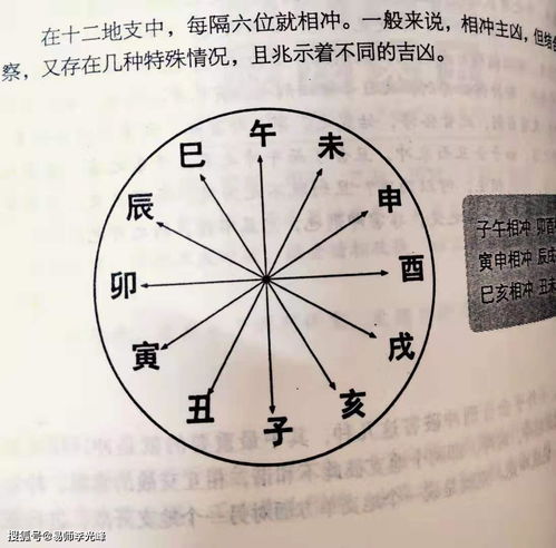 十二地支在每个月的旺衰表