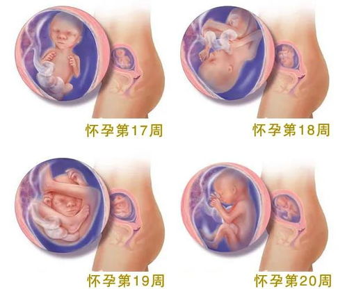 孕期40周最全指南 包括孕期身体变化 饮食宜忌 胎教以及注意事项等
