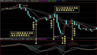 股票是怎么算的，比如我今天卖出，还没收盘就按昨天的价格算还是在今天任意点卖出就按卖出的价算