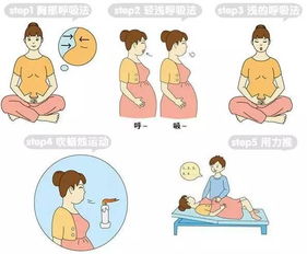 围孕小课堂|孕期准备分娩：全方位攻略助您顺利迎接新生命