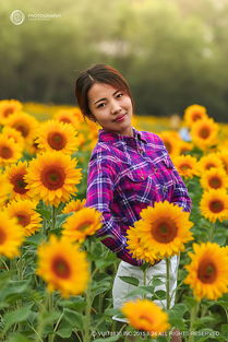 向日葵般的少女