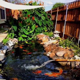 御梵景观 30款花园鱼池合集,总有一款你喜欢
