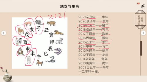 八字命理学,第五课16 涨知识 学习 传统文化 