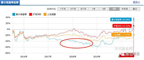 投资,别把运气当实力