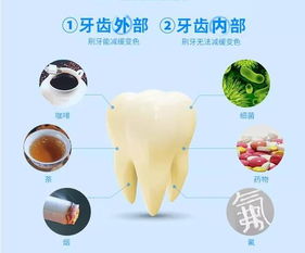 洗牙会伤牙 洗牙的这几个冷知识你一定要知道 