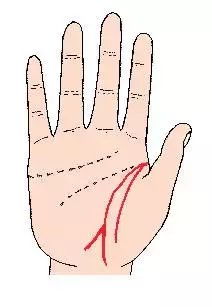 手相学 手相的四个基本线