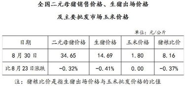 word中如何制作漂亮的表格 