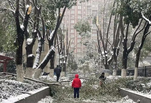 什么是冻 雨  第1张