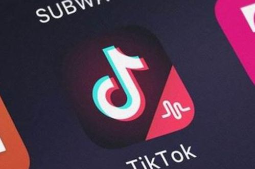 为什么要有一个TikTok海外抖音账号_tiktok怎么开通账户