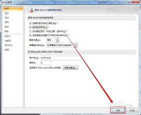 Microsoft Office Word怎么设置显示标签 