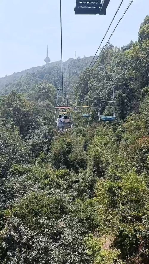 岳麓山 橘子洲 自驾游 