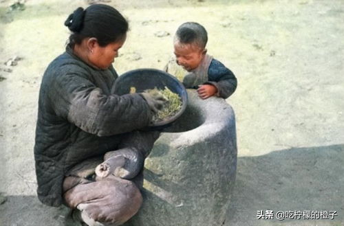 饿殍遍野是什么生肖