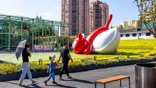 扬州花鸟市场在什么地方 (扬州花都汇花鸟市场免费停车场)