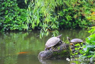 今日谷雨丨春季最后一个节气,你准备好迎接夏天了吗