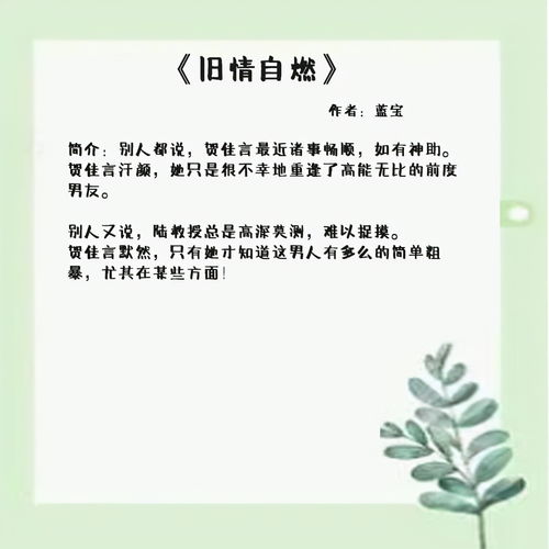 不懂爱的情歌在线阅读