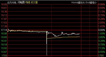 股票操作系统中闪电成交与普通成交有%