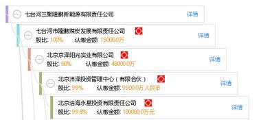 七台河三聚隆鹏新能源有限责任公司