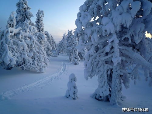 8月好运降临,事业有贵人,爱情有桃花,多金多福的3个星座