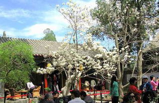 北京最灵验的6大寺庙 云居寺送子 戒台寺消灾