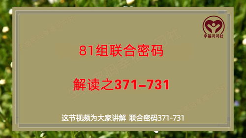 生命密码解读,81组联合密码解析之创意型领导码371和731 