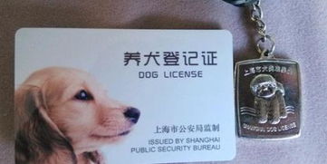 居民养狗不办狗证算不算违法 也就是说没狗证的狗受不受法律保护 