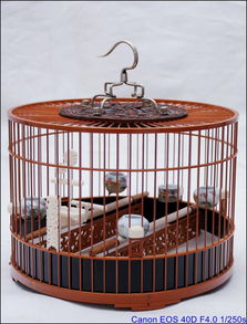 邻居收藏的鸟笼子