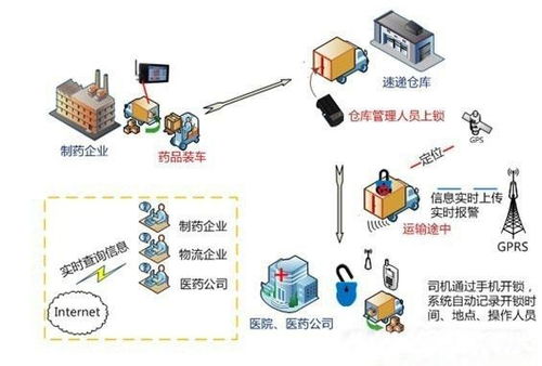 上海至资中县进口海鲜冷链物流需要多少天