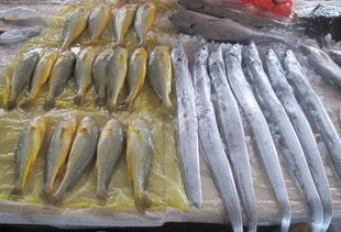 冬至一过,舟山市场鱼虾蟹的身价又涨了 雷达网 带鱼要这个价啦
