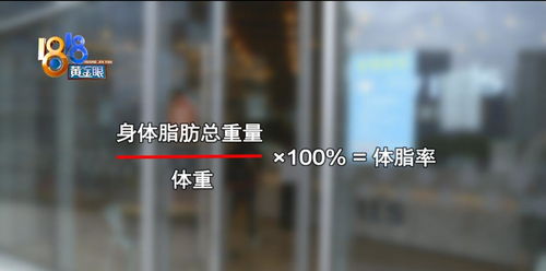 私教课买了一样又一样,花6万多健身减肥越练越胖